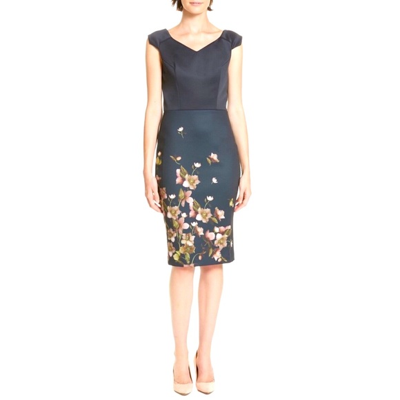 Ted Baker London Dresses & Skirts - TED BAKER Hilbi Arbirtum dress Size 2 (6)